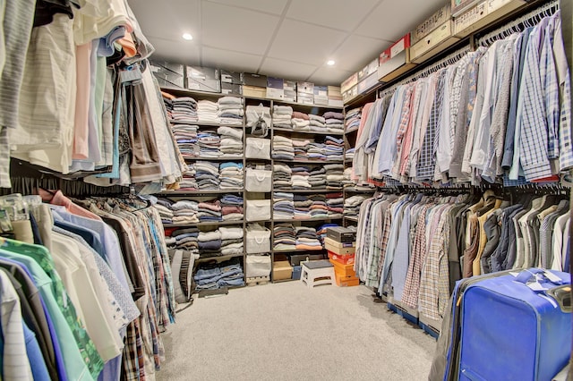 827 Iva Del Ct, Crescent Springs, KY 41017 - walk in closet with carpet flooring and a drop ceiling