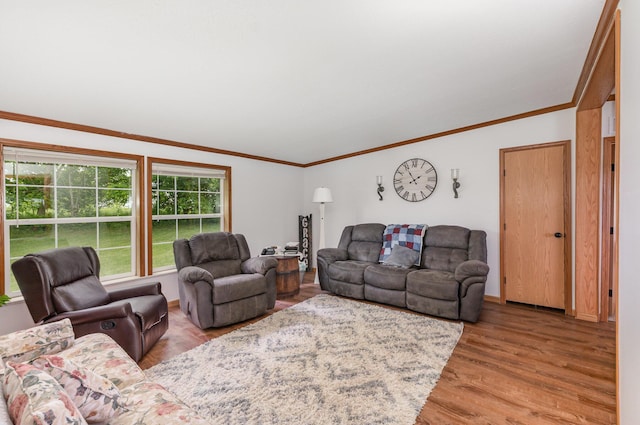 1425 Ky Highway 35, Sparta, KY 41086 - photo 4