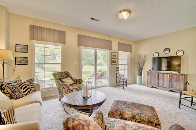 208 Misty Cove Way, Highland Heights, KY 41076 - living area featuring carpet floors and a textured ceiling