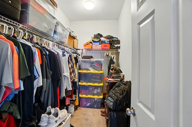 1344 Wilshire Ct, Union, KY 41091 - walk in closet featuring carpet