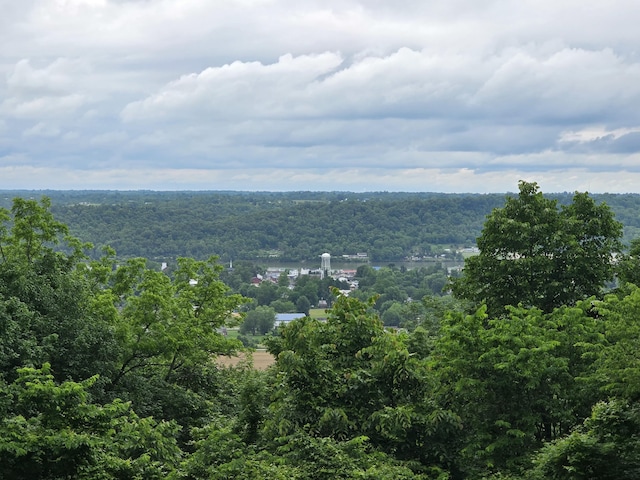 438 Ky Highway 455, Sparta, KY 41086 - water view featuring a heavily wooded area