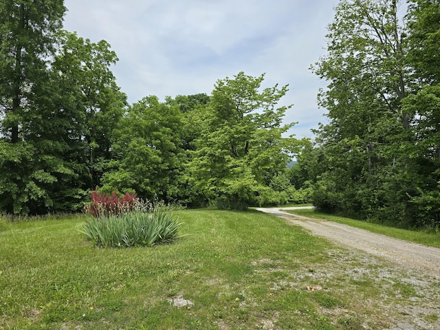 438 Ky Highway 455, Sparta, KY 41086 - view of dirt / gravel road with a forest view