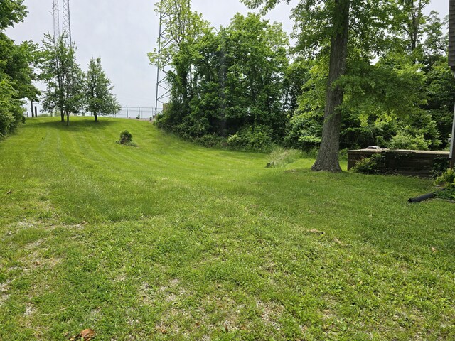438 Ky Highway 455, Sparta, KY 41086 - view of grassy yard