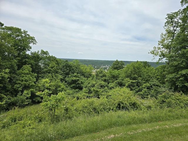 438 Ky Highway 455, Sparta, KY 41086 - view of local wilderness