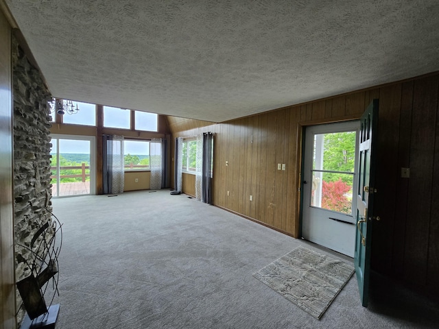 438 Ky Highway 455, Sparta, KY 41086 - unfurnished living room featuring carpet floors, a textured ceiling, and wood walls