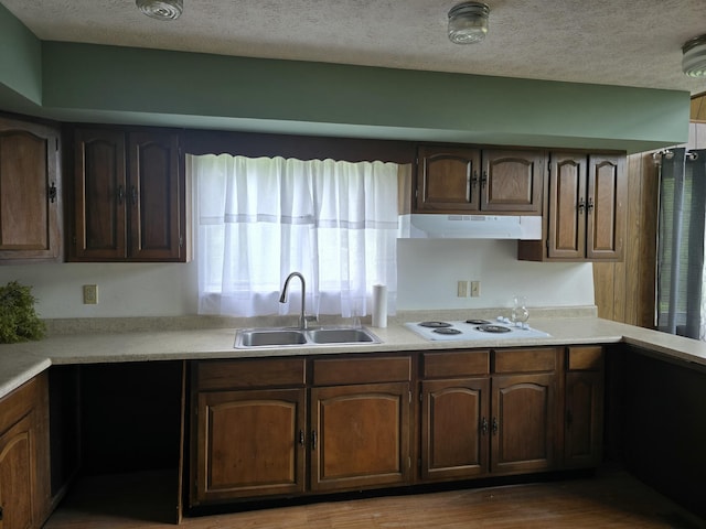 438 Ky Highway 455, Sparta, KY 41086 - kitchen featuring a sink, under cabinet range hood, white electric cooktop, a textured ceiling, and light countertops