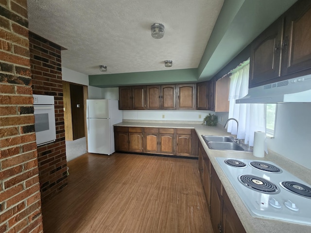 438 Ky Highway 455, Sparta, KY 41086 - kitchen featuring white appliances, a sink, under cabinet range hood, light countertops, and wood finished floors