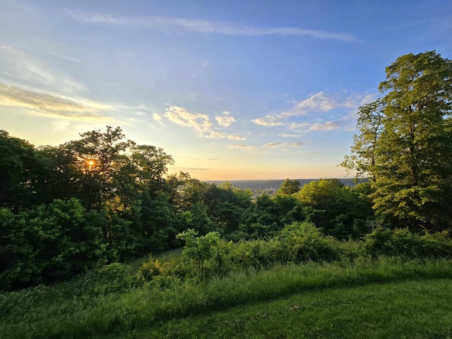 438 Ky Highway 455, Sparta, KY 41086 - view of local wilderness