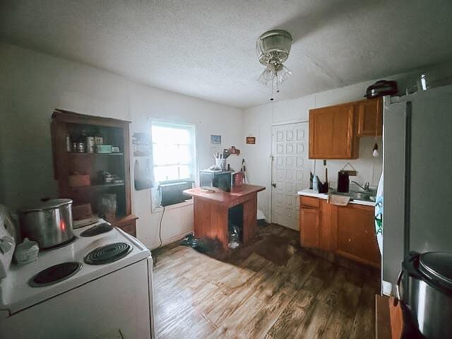 9028 Owl Hollow Rd, Maysville, KY 41056 - photo 3