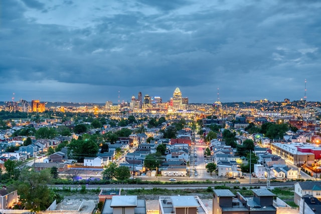 120 Main St Unit 205, Newport, KY 41071 - city view