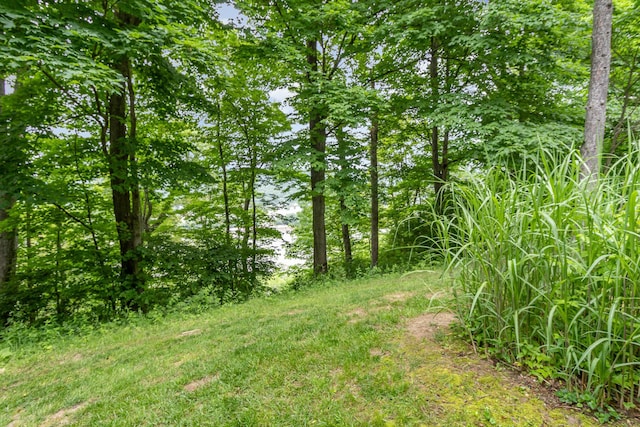 2862 Cliffview Ct, Villa Hills, KY 41017 - view of local wilderness