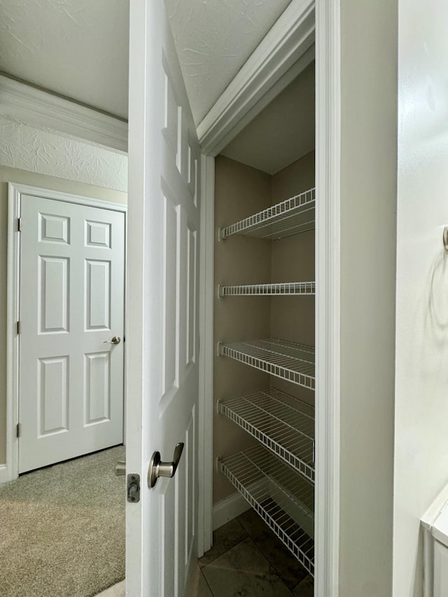 1039 Meadowbrook Ct, Hebron, KY 41048 - view of pantry