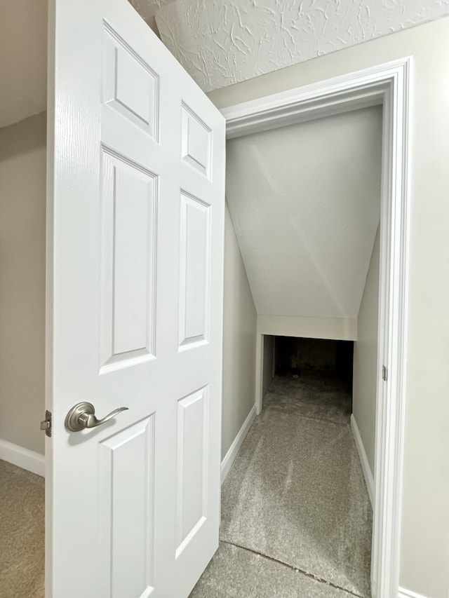 1039 Meadowbrook Ct, Hebron, KY 41048 - view of closet