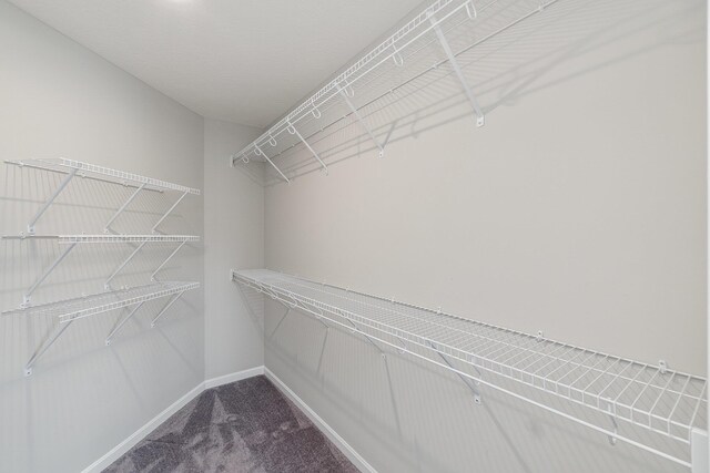 2535 Crosshill Dr, Crescent Springs, KY 41017 - walk in closet featuring carpet floors