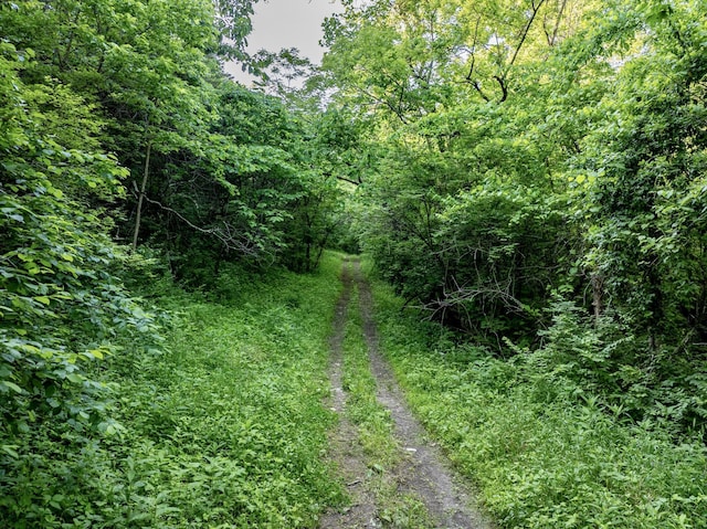 00 Willow Creek Rd, Foster, KY 41043