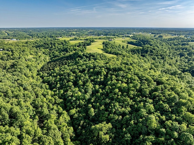 00 Willow Creek Rd, Foster, KY 41043