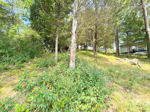 445 Elk Lk Lot 945/946, Owenton, KY 40359 - view of yard