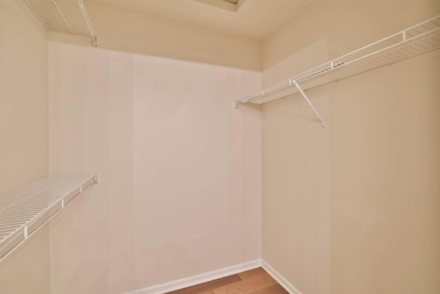 328 Deepwoods Dr, Highland Heights, KY 41076 - walk in closet with light wood-style flooring