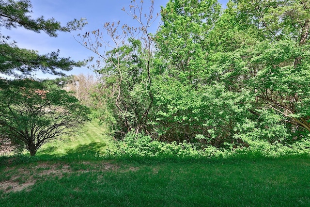 328 Deepwoods Dr, Highland Heights, KY 41076 - view of local wilderness