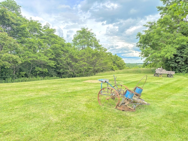 15295 Parkers Grove Rd, Morning View, KY 41063 - view of grassy yard