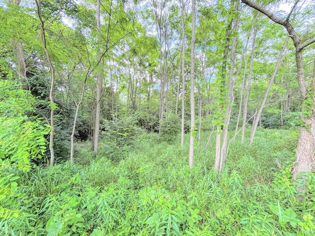 15295 Parkers Grove Rd, Morning View, KY 41063 - view of wooded area