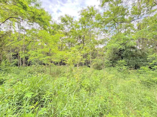 15295 Parkers Grove Rd, Morning View, KY 41063 - view of woods