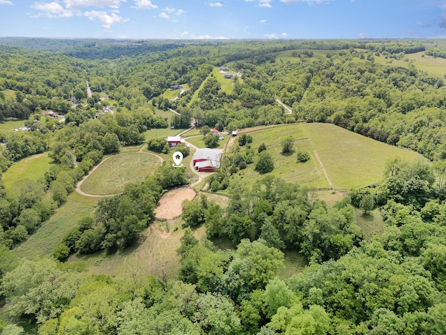 2196 Stevens Branch Rd, Alexandria, KY 41001 - aerial view of a forest