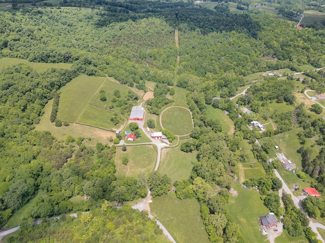 2196 Stevens Branch Rd, Alexandria, KY 41001 - aerial view of property's location featuring a forest