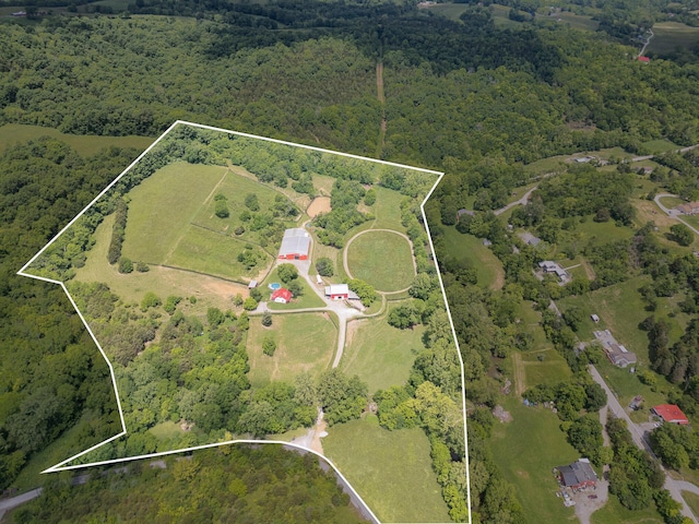 2196 Stevens Branch Rd, Alexandria, KY 41001 - aerial overview of property's location featuring property boundaries highlighted and a forest
