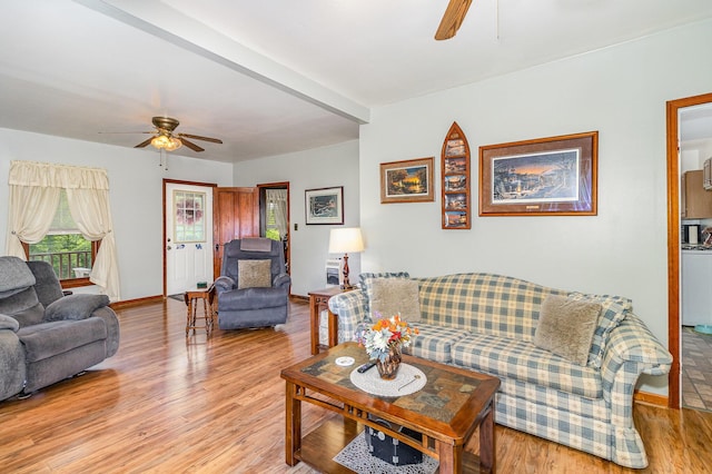 2196 Stevens Branch Rd, Alexandria, KY 41001 - living room featuring a ceiling fan, plenty of natural light, and light wood-type flooring