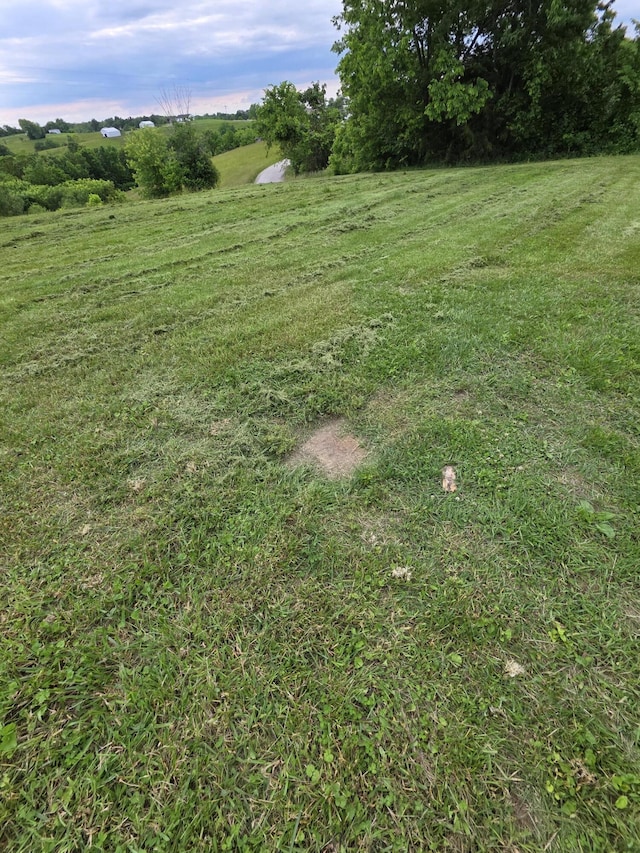 235 Leaning Oak Rd, Corinth, KY 41010 - view of green lawn with a view of rural / pastoral area