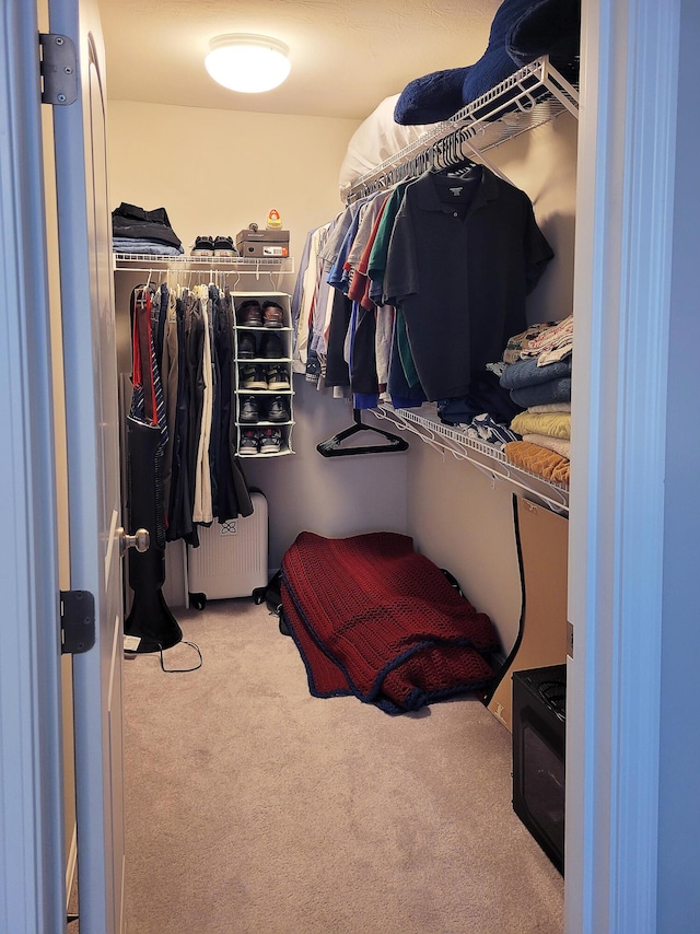 872 Yorkshire Dr, Alexandria, KY 41001 - walk in closet featuring carpet floors