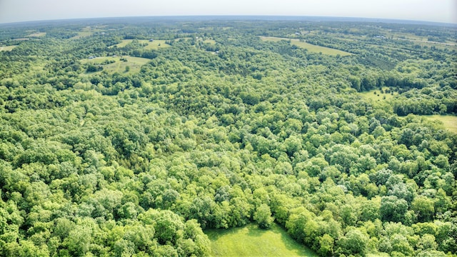 00 Peach Grove Rd, California, KY 41007