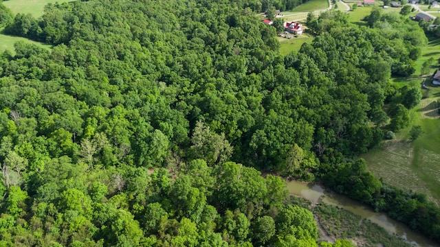 405 Alexander Rd, Crittenden, KY 41030 - aerial overview of property's location with a heavily wooded area