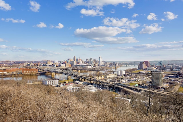 108 Winding Way Unit H, Covington, KY 41011 - photo 8