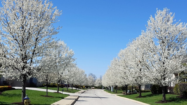 9072 Timberbrook Ln Unit B, Florence, KY 41042 - view of community featuring a lawn