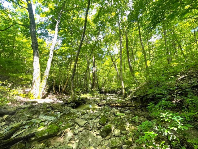 0 Lenoxburg Foster Rd, Foster, KY 41043