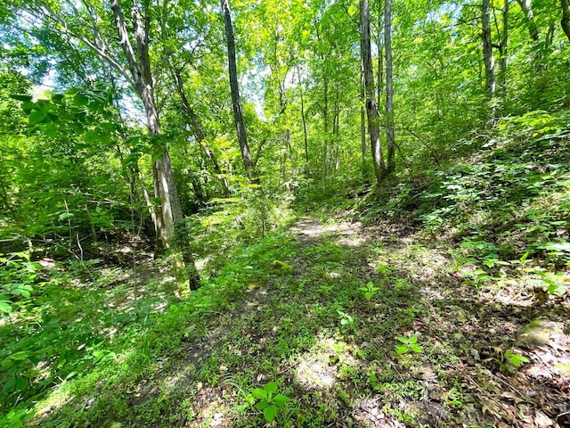 0 Lenoxburg Foster Rd, Foster, KY 41043