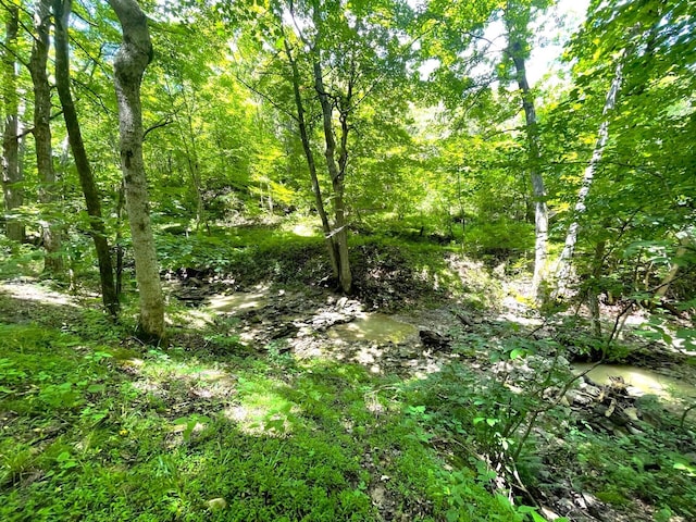 0 Lenoxburg Foster Rd, Foster, KY 41043