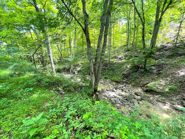 0 Lenoxburg Foster Rd, Foster, KY 41043