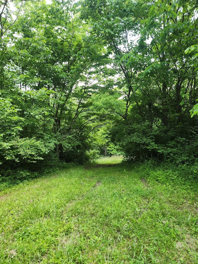 901 Galbraith Rd, Brooksville, KY 41004