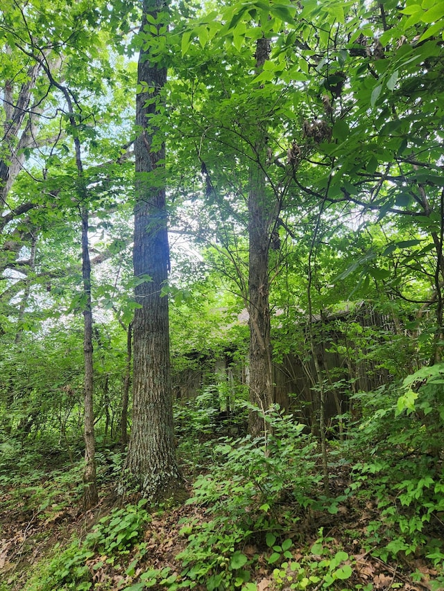 901 Galbraith Rd, Brooksville, KY 41004