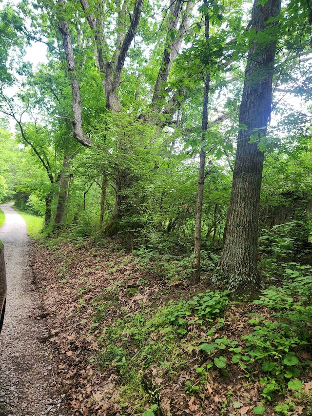 901 Galbraith Rd, Brooksville, KY 41004