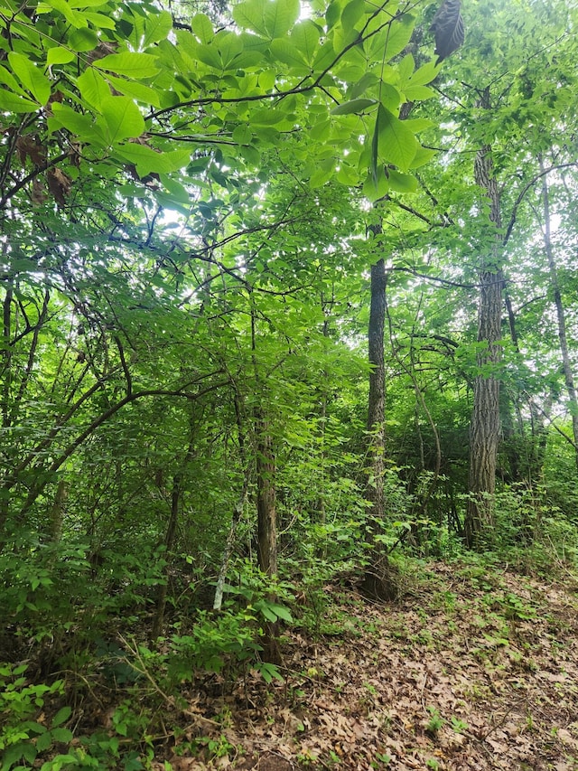 901 Galbraith Rd, Brooksville, KY 41004