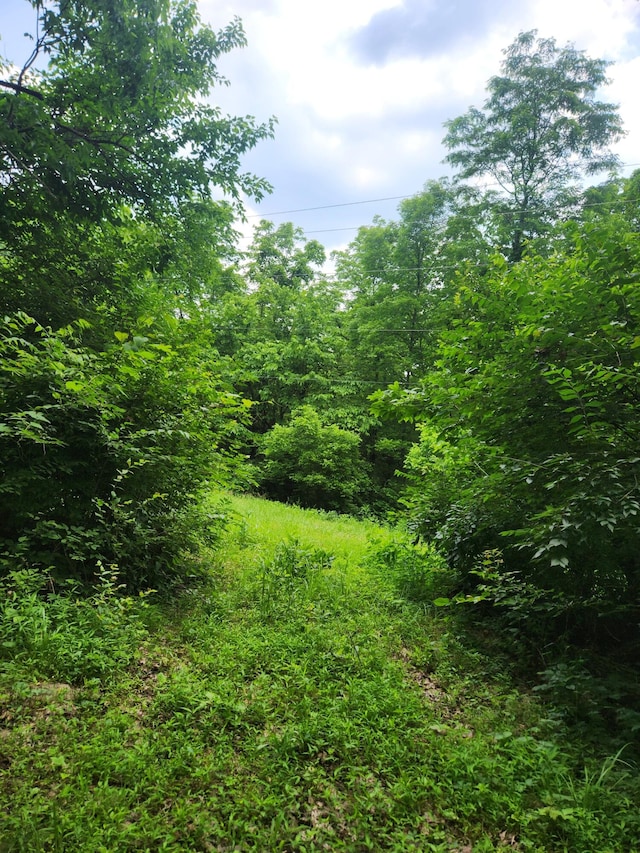 901 Galbraith Rd, Brooksville, KY 41004