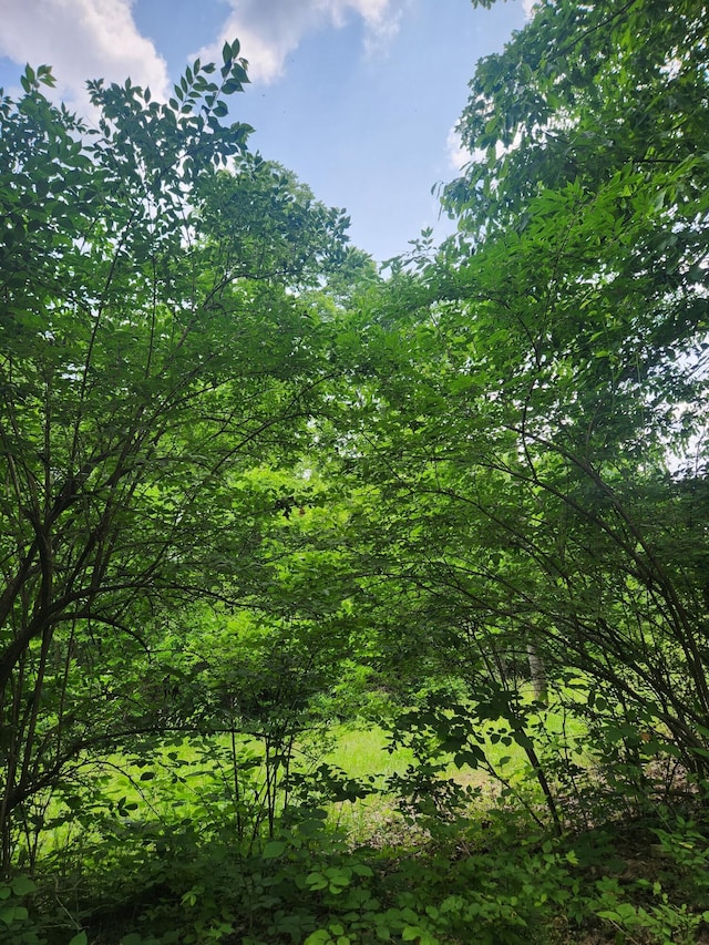 901 Galbraith Rd, Brooksville, KY 41004