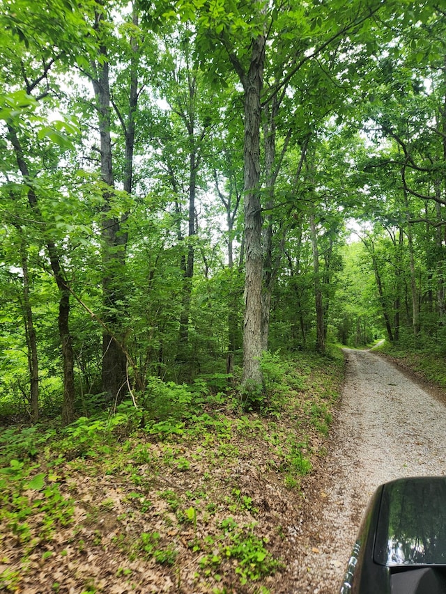 901 Galbraith Rd, Brooksville, KY 41004