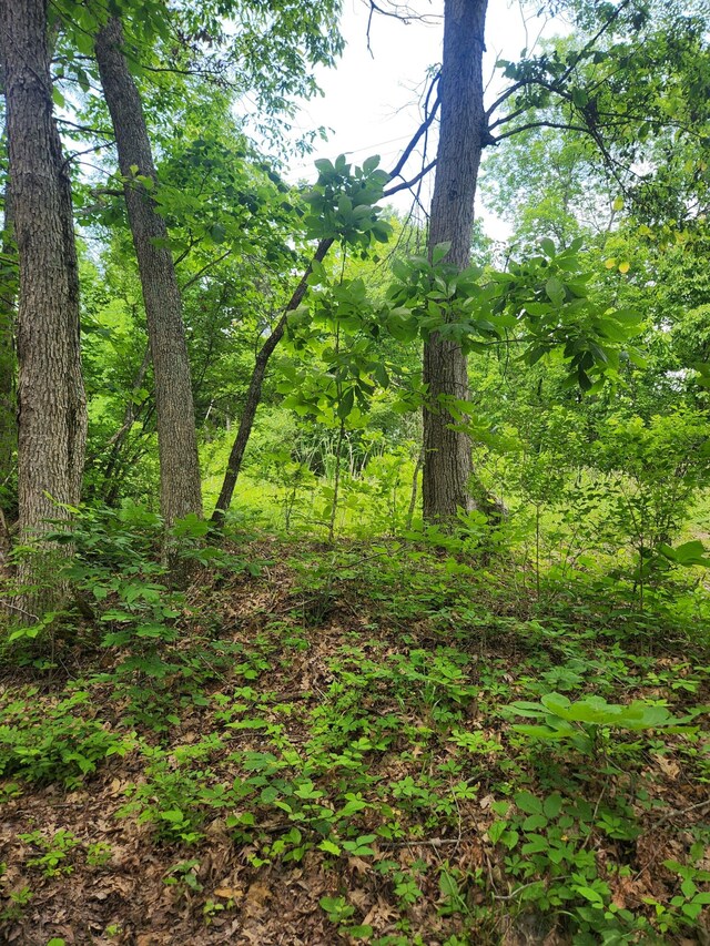 901 Galbraith Rd, Brooksville, KY 41004