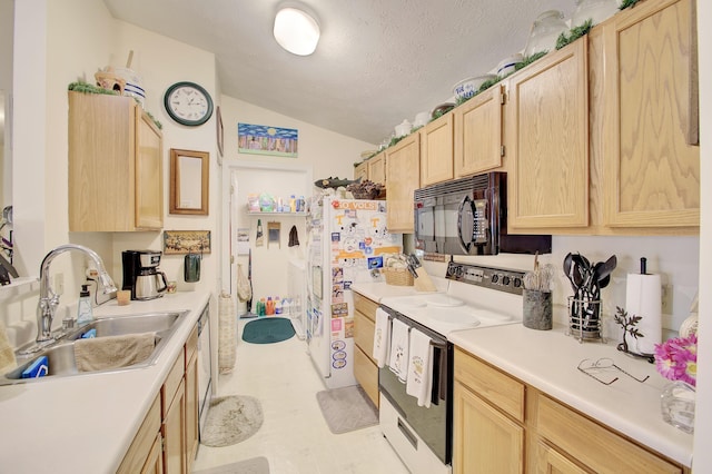 2239 Teal Briar Ln Unit 206, Burlington, KY 41005 - kitchen featuring white appliances, light brown cabinetry, a sink, vaulted ceiling, and light countertops