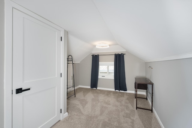344 Linden Ave, Southgate, KY 41071 - bonus room with carpet floors, baseboards, and vaulted ceiling